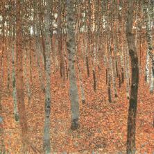 Haga click para ver la imagen ampliada 1902_beech forest.jpg